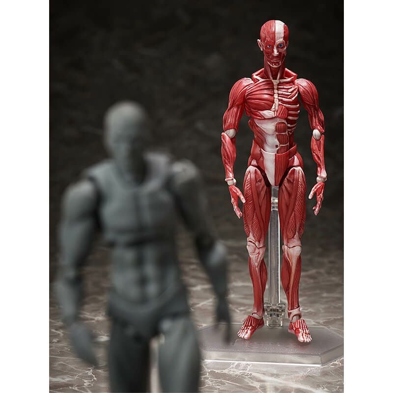 フリーイング figma 人体模型 可動フィギュア【在庫品】 | ガンギ
