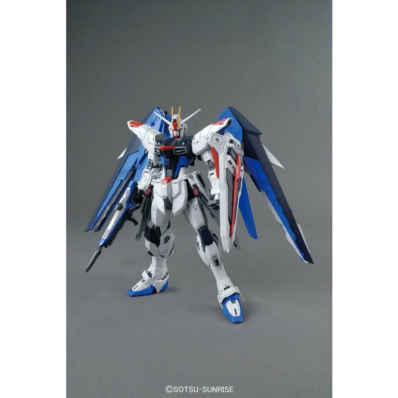 再販】MG 機動戦士ガンダムSEED 1/100 フリーダムガンダム Ver.2.0